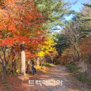 [가평] 연인산 용추계곡 단풍트레킹(10/25 수요일) 이미지