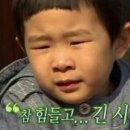 블루펭귄