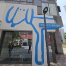 대디동물병원 | 하남 미니 말티푸 분양가 반려견 강아지입양 가격 솔직후기