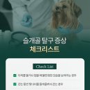 해온동물병원 이미지