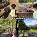 지은목장 | 거제도 아이랑 가볼만한곳 거제 숲소리공원 양떼목장 모노레일 예약 후기