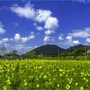 황산농장 이미지