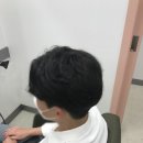 시스템엘르