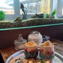 아담다방 이미지