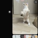 밸류드 이미지