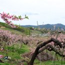 사곡2리 이미지