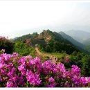 지리산 철쭉제 등산해보세요 이미지