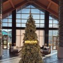 신천생태하천E | 가을 아이랑 곤지암리조트 디럭스 취사형객실, 생태하천, 마라샹궈 룸서비스