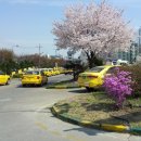 일신자동차 이미지