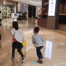 공룡신발 네이버블로그