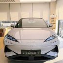 분당금곡-A-9 | [이용후기] DT네트웍스 BYD Auto 분당전시장 방문(3) - 돌핀 시승기