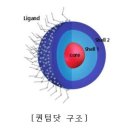 삼성전자, '자발광 QLED 상용화 가능성' 업계 첫 입증 이미지