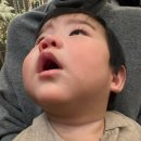 제이홈즈(정갤러리) | 스크롤을 내려주세요 💭