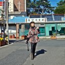 일광이용원 - 기장군 일광로 106-1 | 일광이용원