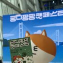 아이엠캣 | 2026 부산 궁디팡팡 캣페스타 | 집사는 집사하느라 집 못 사 😮‍💨