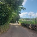 오라동 망배단 이미지