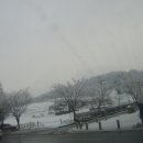 꿈꾸는 가 이미지