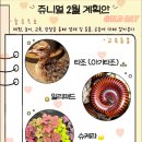 쥬니멀 이미지