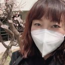 매화마트 이미지