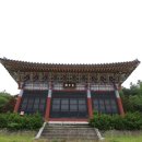 주자묘 Daum카페