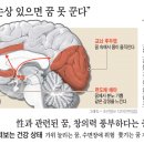 가위의꿈