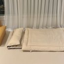 리틀포시즌 이미지