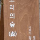 모리숲 이미지