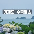 썬트리 트래블