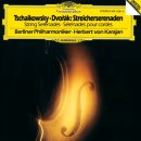Serenade for String in C major Op.48 (Tchaikovsky) 이미지