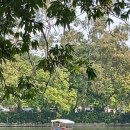 서호미술관 이미지