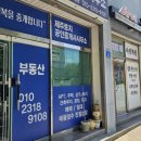 행복제주공인중개사사무소 네이버블로그