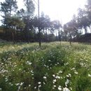 율곡수목원(2) 이미지