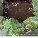 중문동-8 이미지