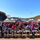 제15회 청송사과축제 이미지