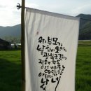 카페 커피 데이트 가볼만한곳 해바라기 구절초 사자평 억새 우주천문대 기상과학관 한천 얼음골 표충사...