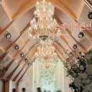 판교역로226번길 이미지