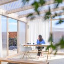 스테이 아담 이미지