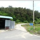안국천 네이버블로그