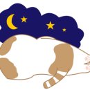 비즈니스 모텔 이미지