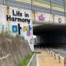 마장 매화둘레길 이미지