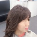 비비헤어비스 이미지