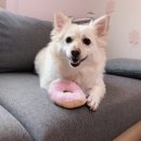 지하철역사(노은역) 이미지