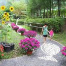 딴산민박 이미지