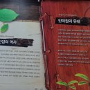 53차 &#39;25.2.6(목) 의왕 바라산임도/모락산둘레길(리딩 무송님) 이미지