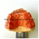 이바루미치과의원 이미지