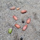 식물원 옆 동물원 이미지