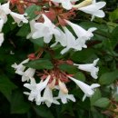 고색중학교 이미지