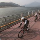 국토종주자전거길1-92 이미지