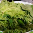 토담참숯닭갈비 - 사상구 사상로223번길 34 | 토담참숯닭갈비