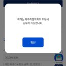 제주 빙새기 | [정보] 고향사랑기부제 답례품 추천ㅣ제주 답례품, 쌍둥이네 농원, 빙새기 천혜향